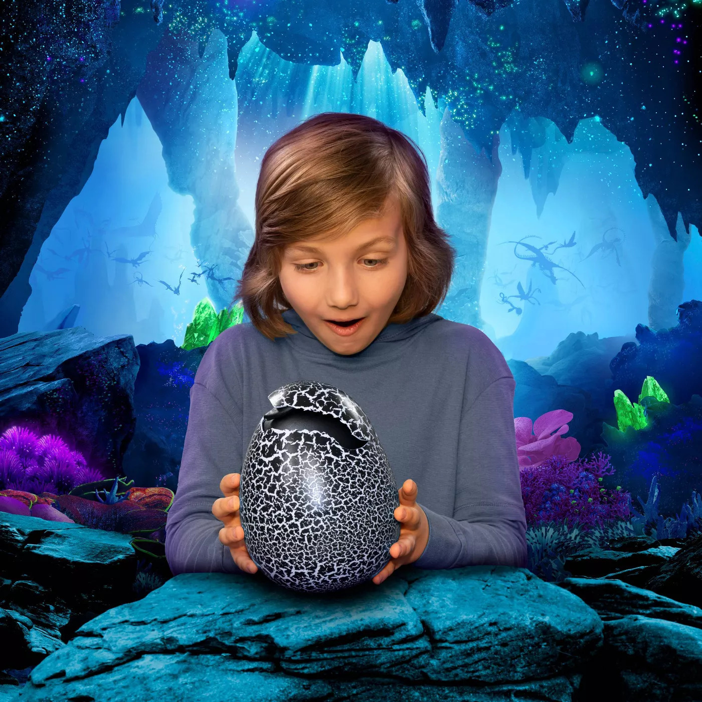 How To Train Your Dragon Dragons Hatching Toothless