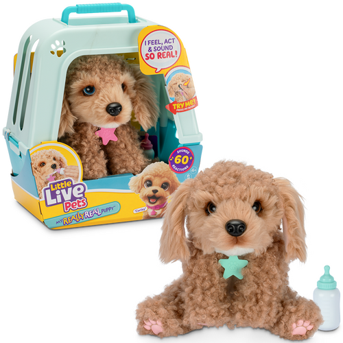 Little Live Pet my Really Real Puppy Curley