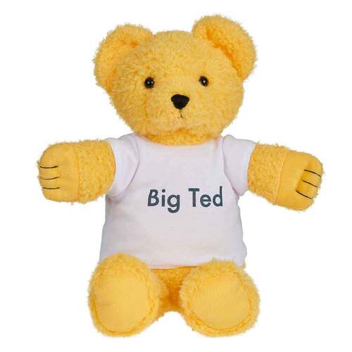 Big Ted Plush